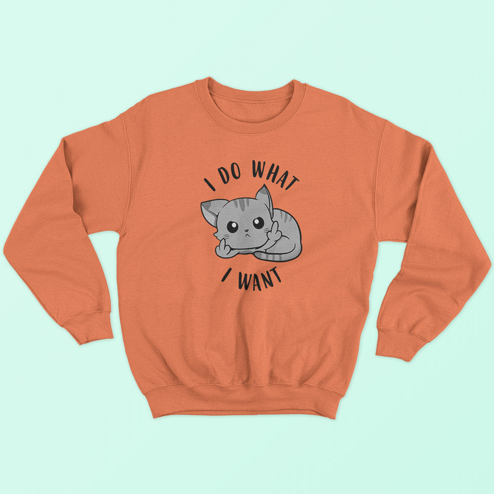 I Do What I Want Sweatshirt - Soul & Peace